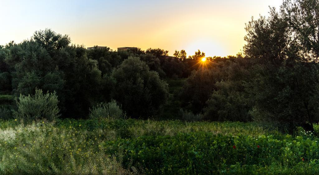 Riad Sougtani Tazrou Buitenkant foto